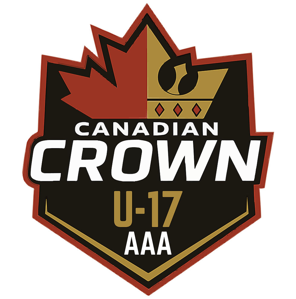 u17 aaa logo.png