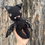 Thumbnail: Cat Bat #2 (Halloween Collection) {Handmade}