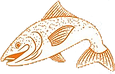 great fish fish.png