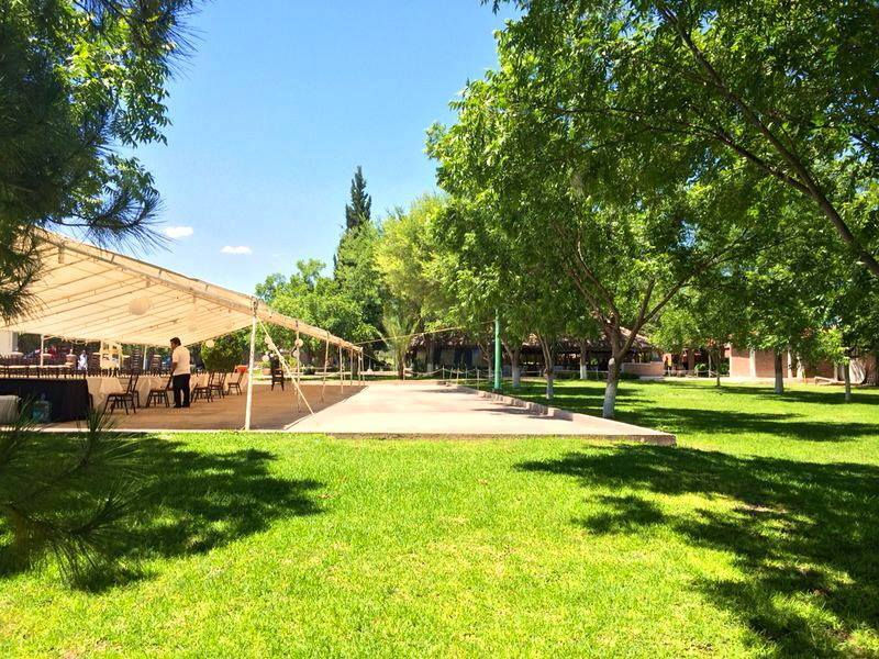 Explanadas rodeadas de vegetación