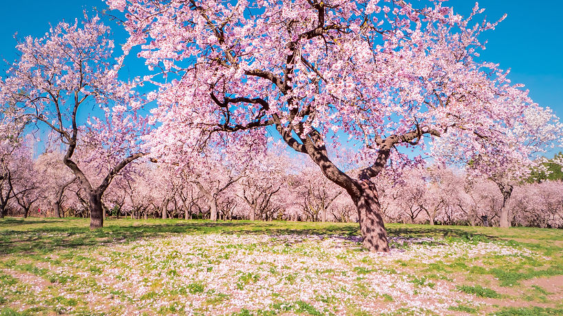 AdobeStock_315756064.jpeg
