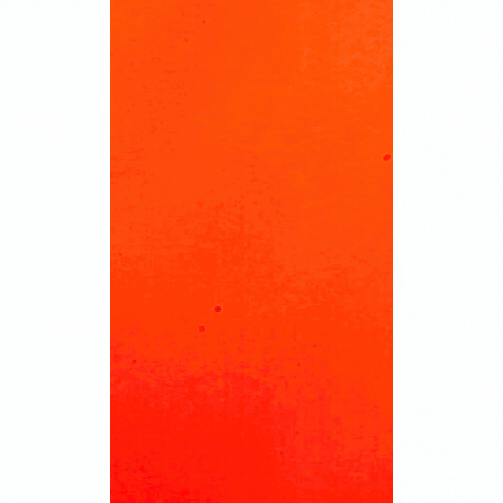 Untitled design (3).gif