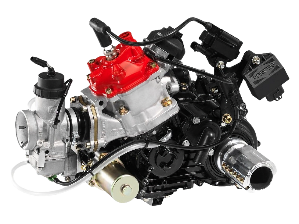 Motore Rotax DD2 MAX EVO con cambio per kart