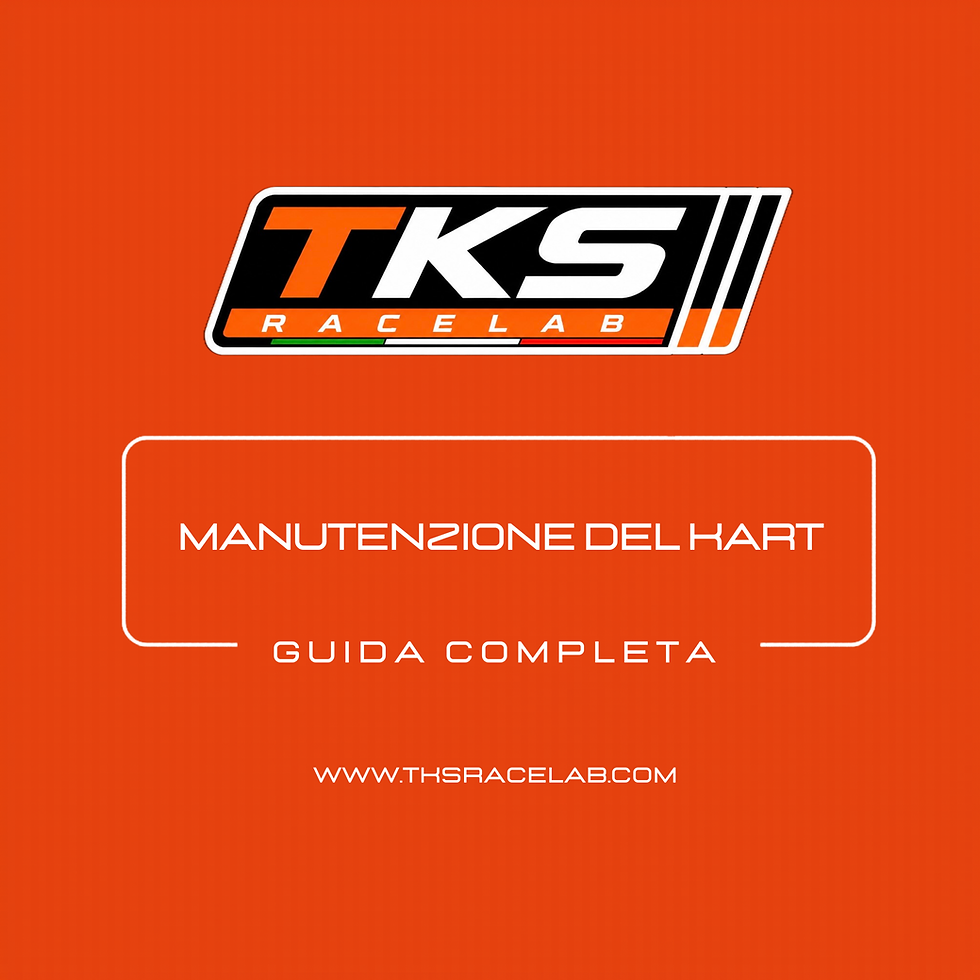 guida completa manutenzione kart freni gomme controlli pre-gara