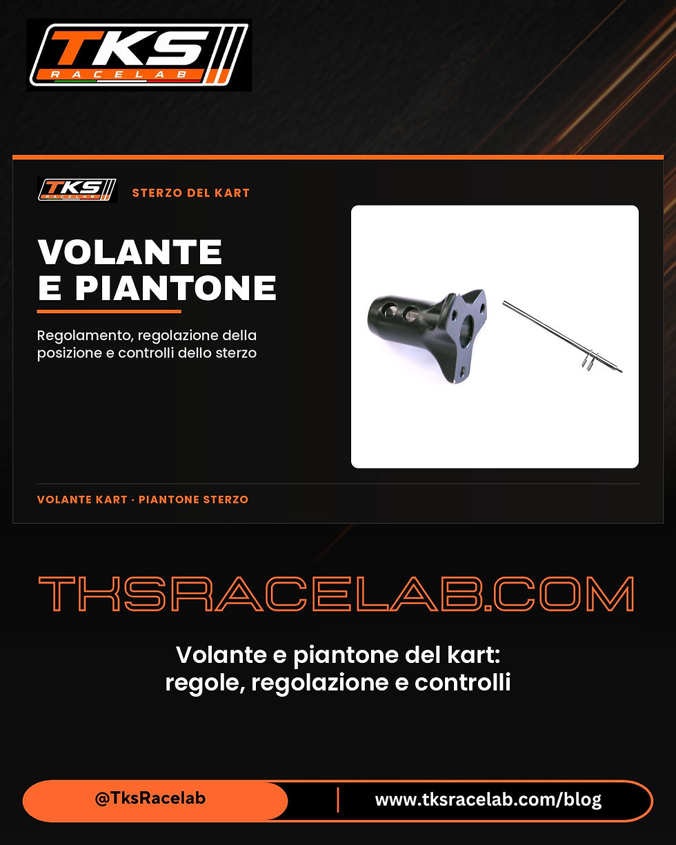 Copertina TKS RaceLab: volante kart e piantone, regole, regolazione e controlli