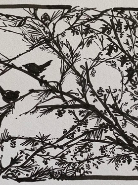 Companionship
