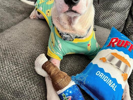 October Three Little Pitties