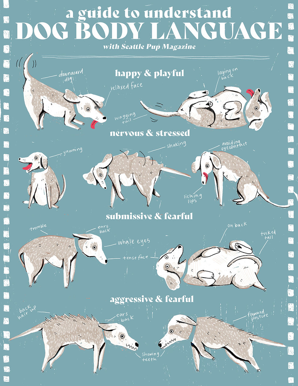 Chart describing dog body language signs