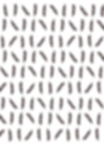 texture piume copia.jpg