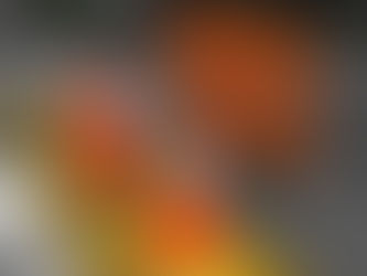 ¡Atención conductores! Este viernes, el Centro Histórico de Veracruz estará parcialmente cerrado