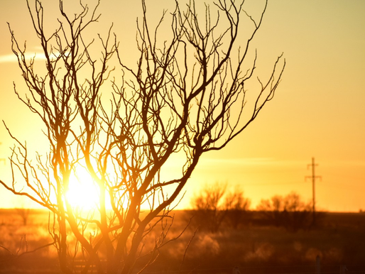 Especialistas alertan por aumento de enfermedades respiratorias durante la canícula