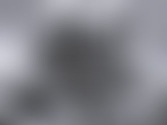 ¿Cómo llevar el duelo por una mascota?