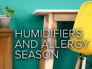 Humidifiers and Allergy Season