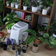 Mini-Console humidifier on the floor, surrounded by plants and a bookshelf with plants.