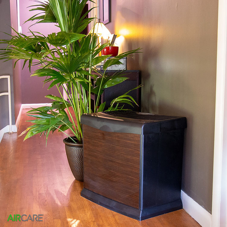 Our Best Large Room Humidifiers