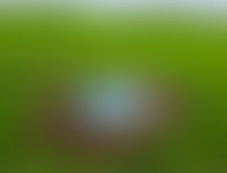 Trough Upgrades & New Water Lines – Elsthorpe