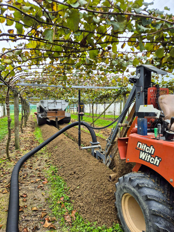 Kiwifruit Orchard Drainage Installation