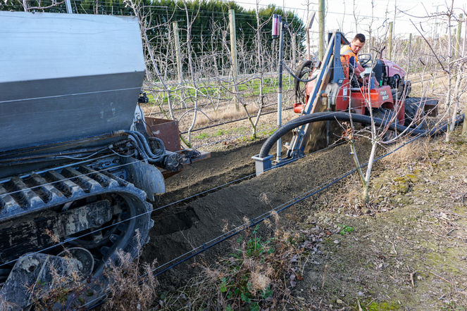 Orchard Drainage Installation