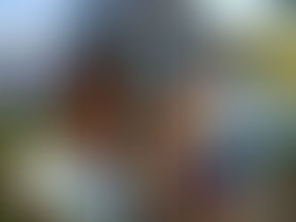 Rochester Art Supply Now Has a Special Supply List Page for Susan's Classes