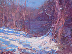 Snow Shadows and Light