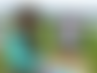 PleinAir Today - Featured Plein Air Ambassador: Susan Nicholas Gephart