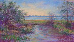 Light and Shadows at Assateague