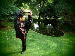 kung fu (Shao Lin)