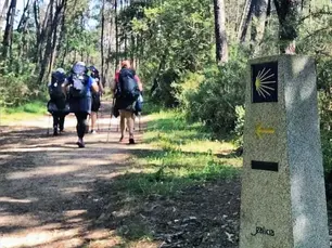 Que mochila devo escolher para caminhar?