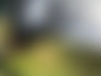 Os Benefícios da utilização de Bastões de Caminhada