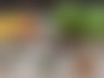 Os 5 alimentos que deves ter na mochila para um dia de caminhada