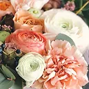 flower-3.webp
