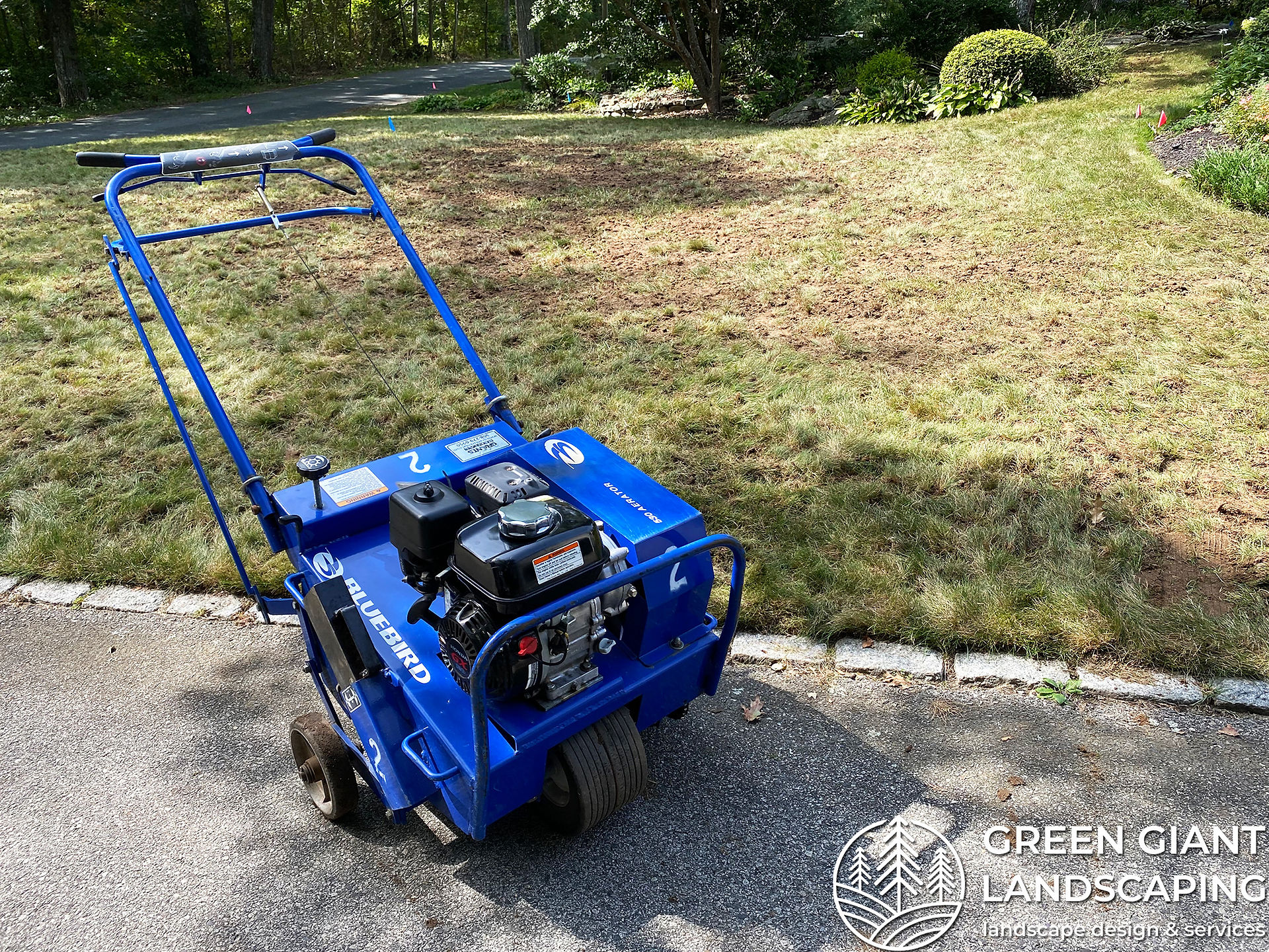 Lawn Care. Green Giant Landscaping, South Shore, MA.