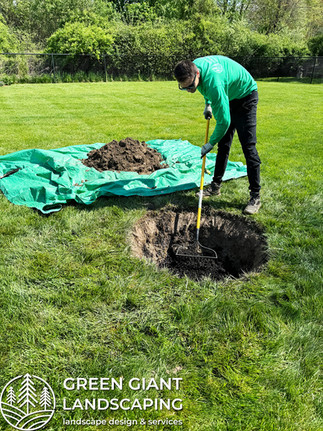 planting trees by Green Giant Landscaping Massachusetts