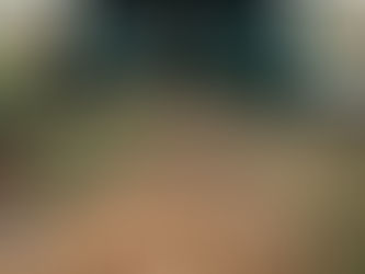 Spring Cleanup 2026. South Shore of Massachusetts. Green Giant Landscaping. Professional Landscape Design.