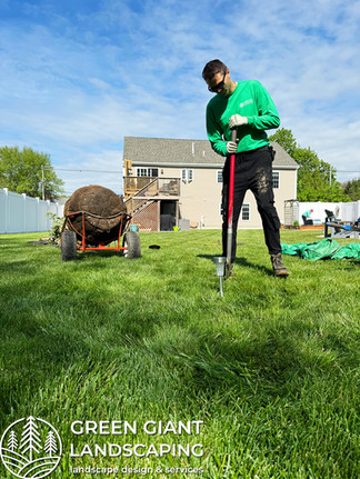 planting trees by Green Giant Landscaping Massachusetts