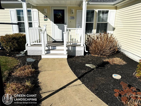 Overgrown and weed-infested front yard flower bed on the South Shore MA before professional landscape cleanout and renovation.