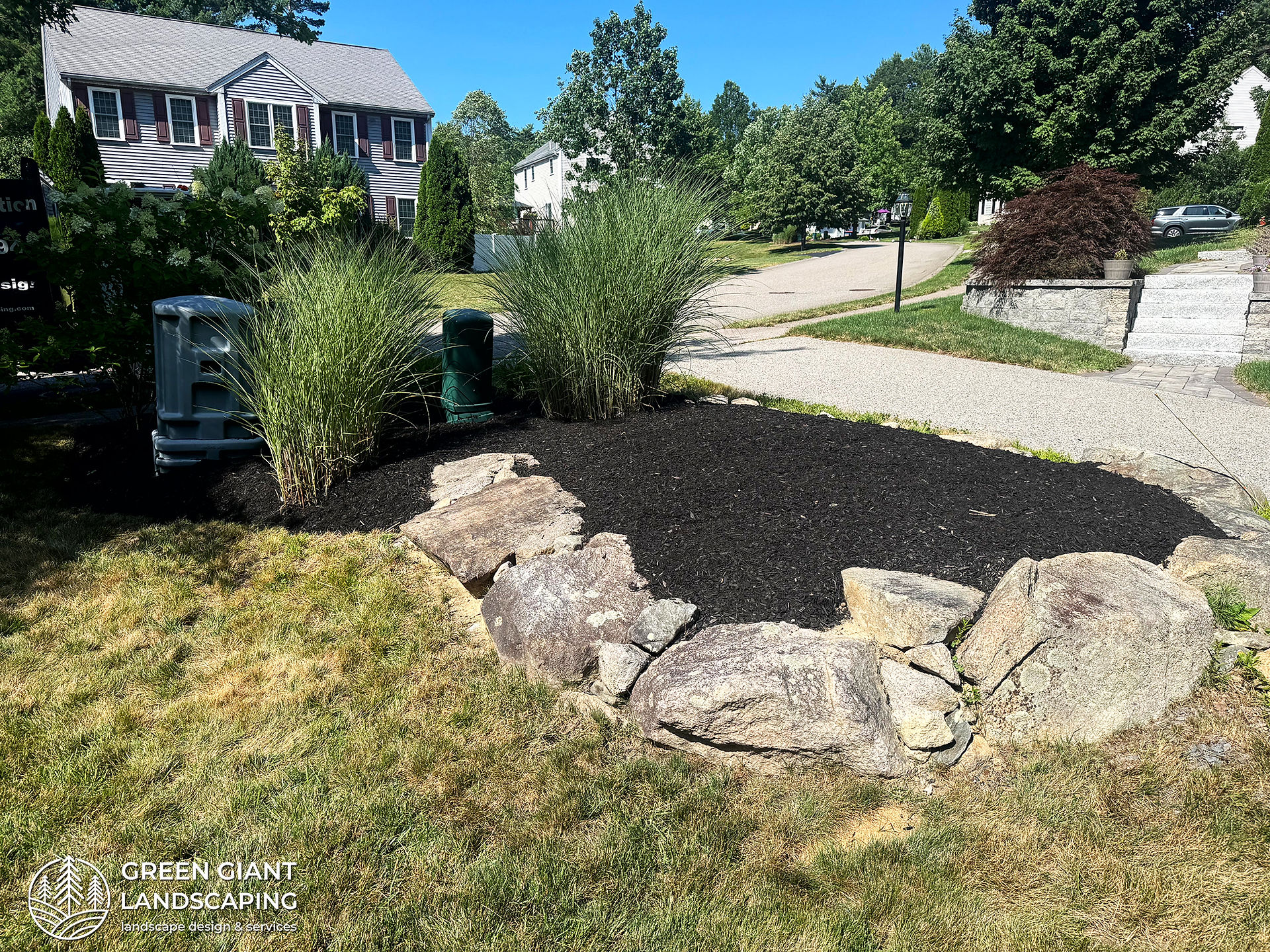 Installing late summer planting & garden bed maintenance perennials like hydrangeas in Massachusetts.