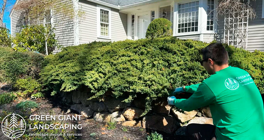 Portfolio. Professional Landscape Design by Green Giant Landscaping. South Shore of Massachusetts.