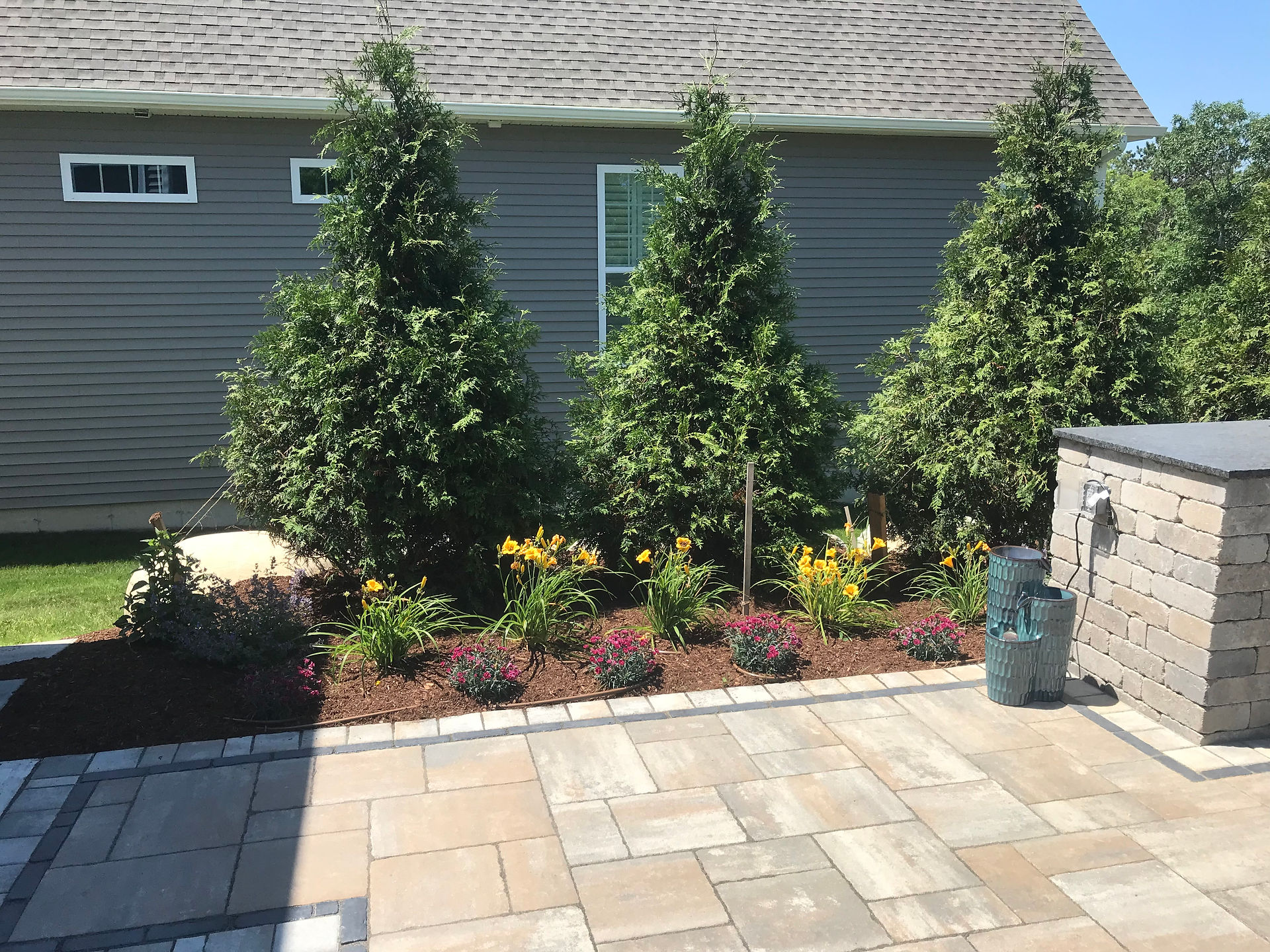 Installing layered privacy tree planting & evergreen screening on a residential estate in Massachusetts.