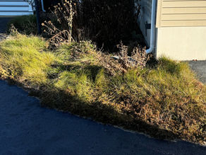 Spring Cleanup 2026: Refresh Your South Shore Landscape