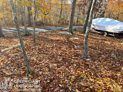 Fall cleanup. Green Giant Landscaping
