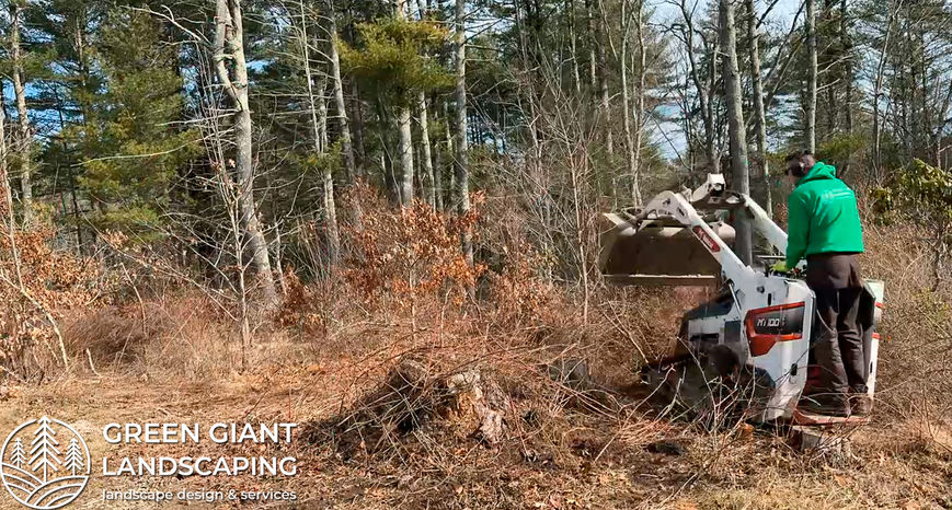 Portfolio. Professional Landscape Design by Green Giant Landscaping. South Shore of Massachusetts.