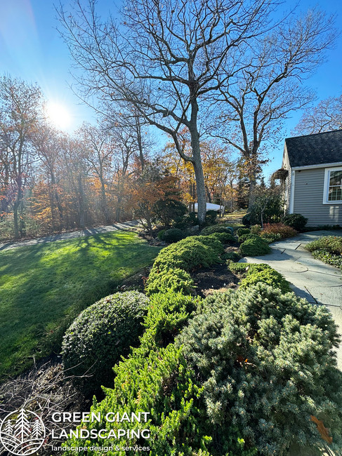 Fall cleanup. Green Giant Landscaping