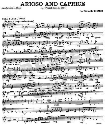 Untitled design-49_edited.jpg