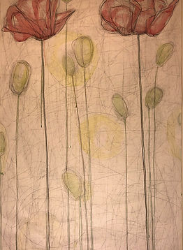 Poppy Wishes EDIT_edited.jpg