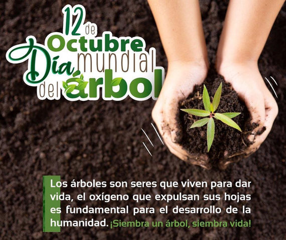 12 de Octubre DÍA MUNDIAL DEL ÁRBOL