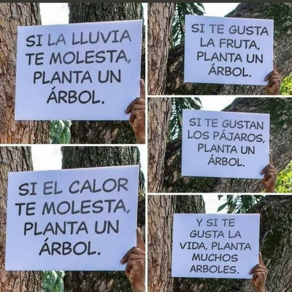 Tú eres PRAE...