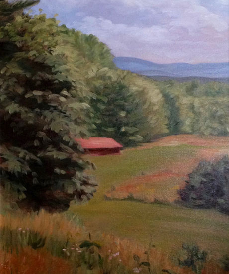 View from the Crown Meadow