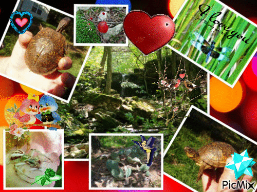COLLAGE JR.gif