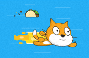 scratch.gif